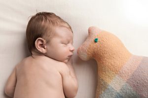 Newborn Sleeping with Toy Newborn Photography Melbourne