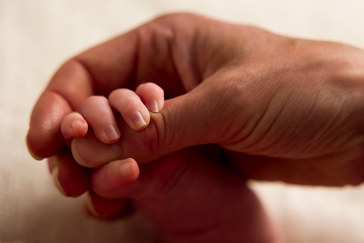 Newborns of Melbourne Photography Session