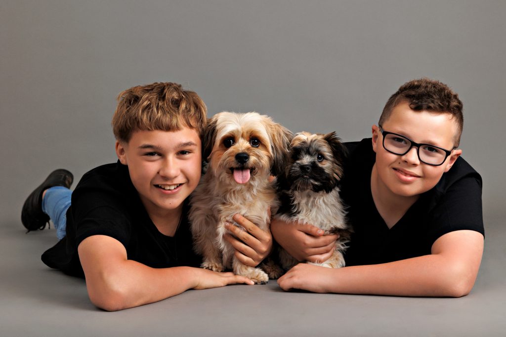 Dog Photography Melbourne
